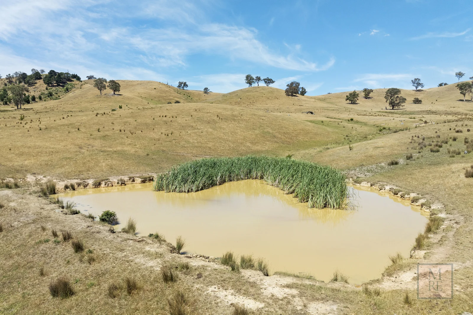 Additional image 16 of 'Dalhaven', 98 Hells Hole Creek Road, Bonnie Doon VIC 3720