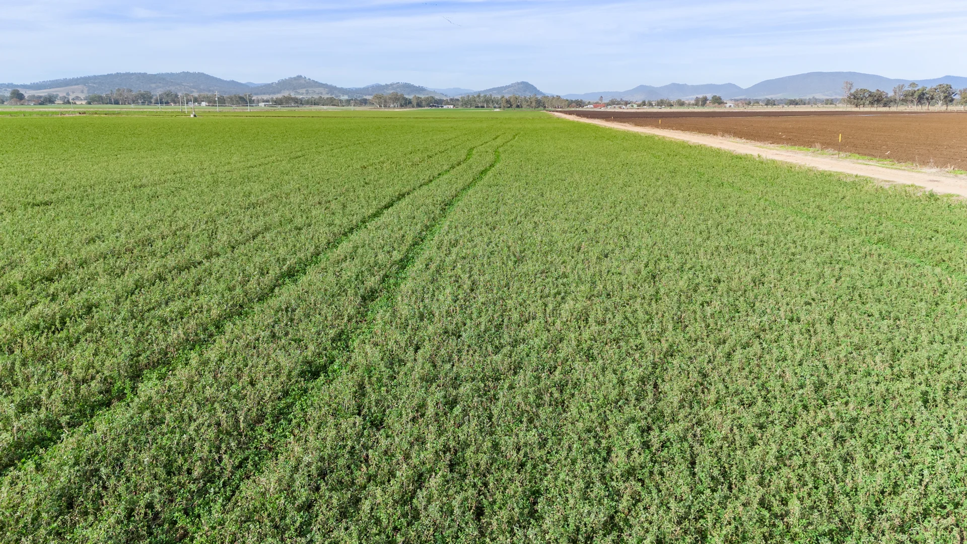 Additional image 25 of 'Billaroy' 395 Turanville Rd, Scone NSW 2337