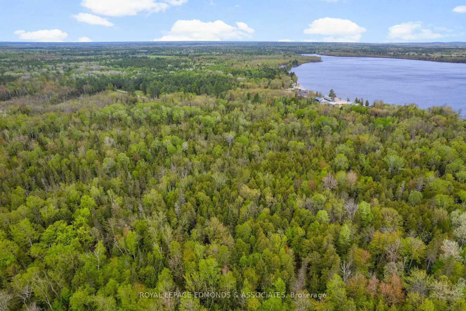 Additional image 3 of 0000 Nangor Trail