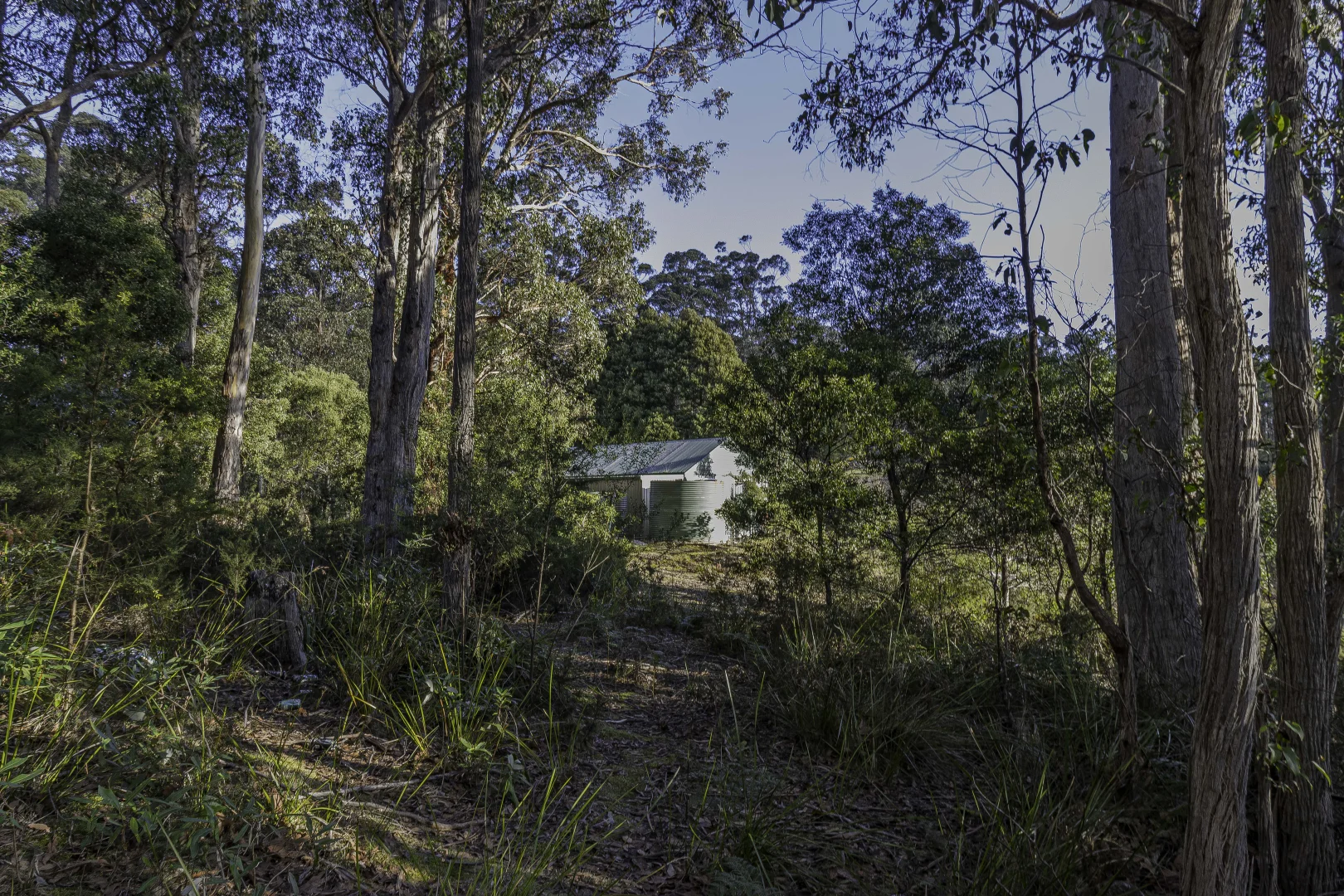 Additional image 11 of Franklin TAS 7113