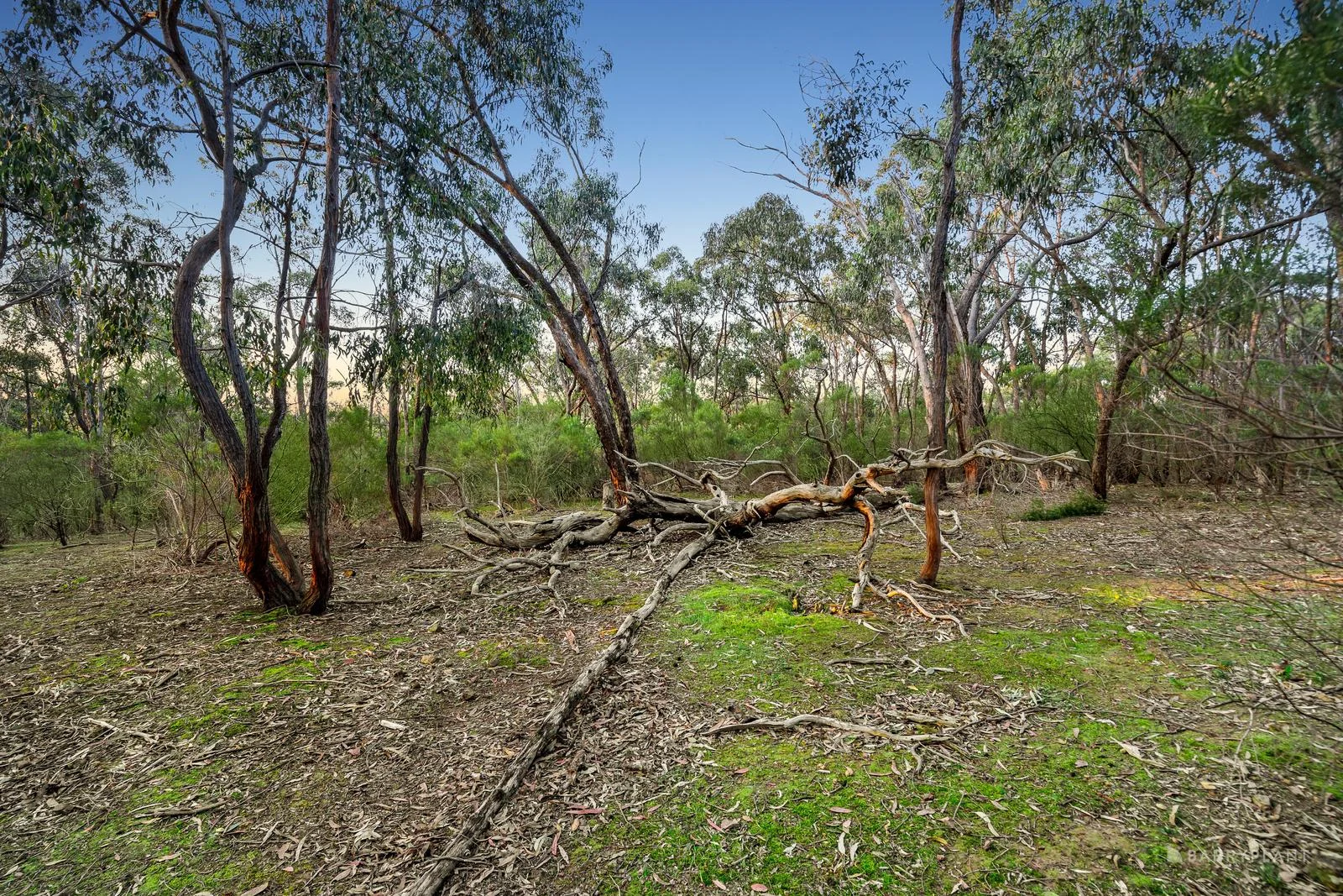 Additional image 6 of 210 Shaws Road, Cottles Bridge VIC 3099
