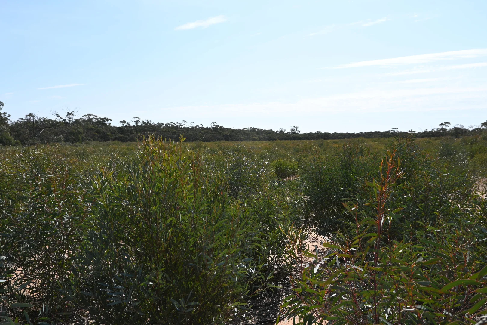 Additional image 9 of 17, A KURTING KINGOWER ROAD, Kingower VIC 3517