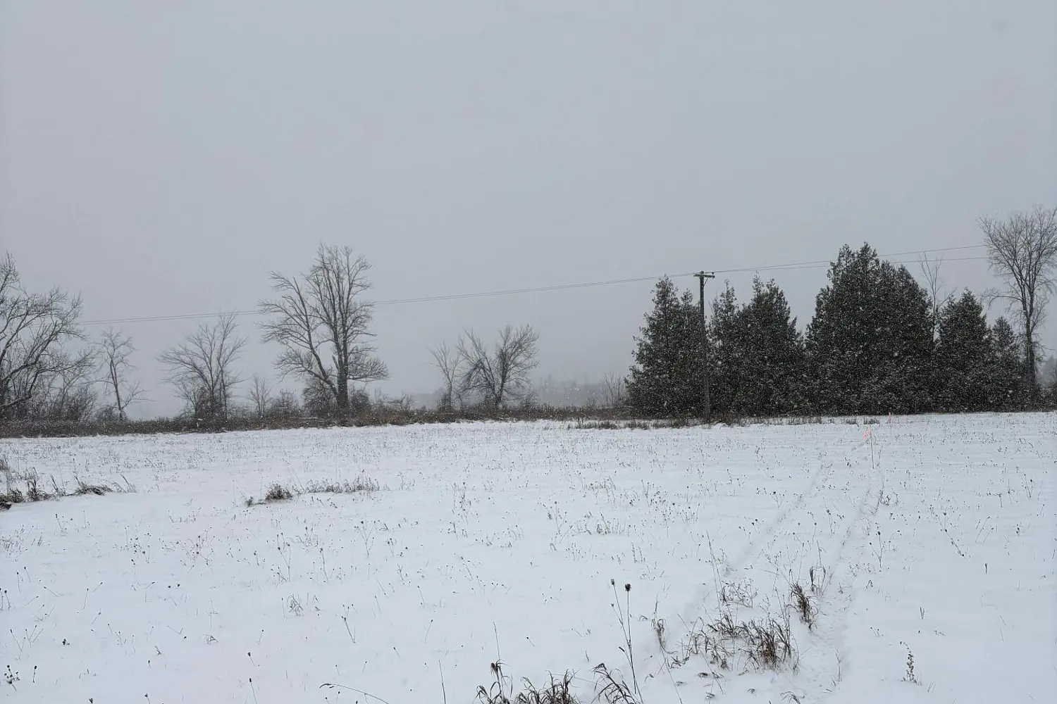 Additional image 7 of 0 Douro Third Line