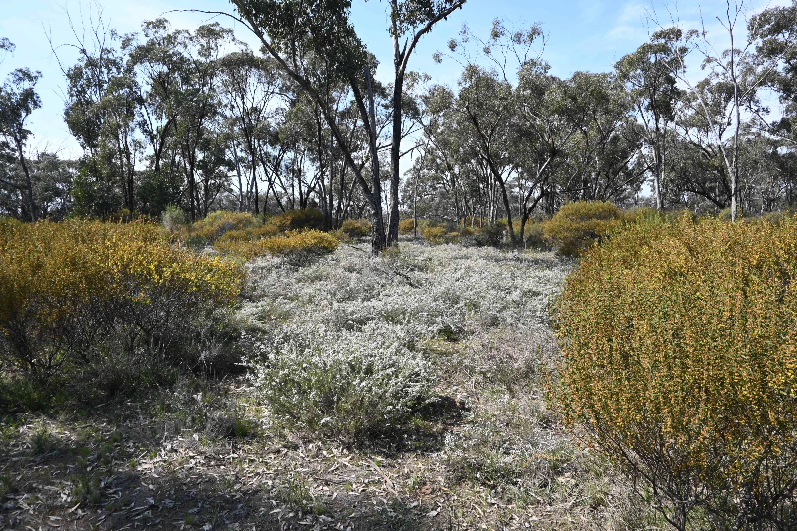 Additional image 6 of 17, A KURTING KINGOWER ROAD, Kingower VIC 3517