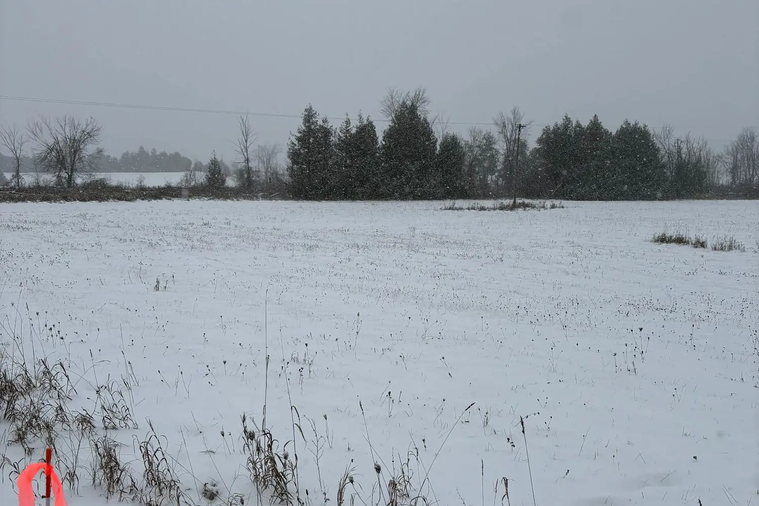 Additional image 2 of 0 Douro Third Line