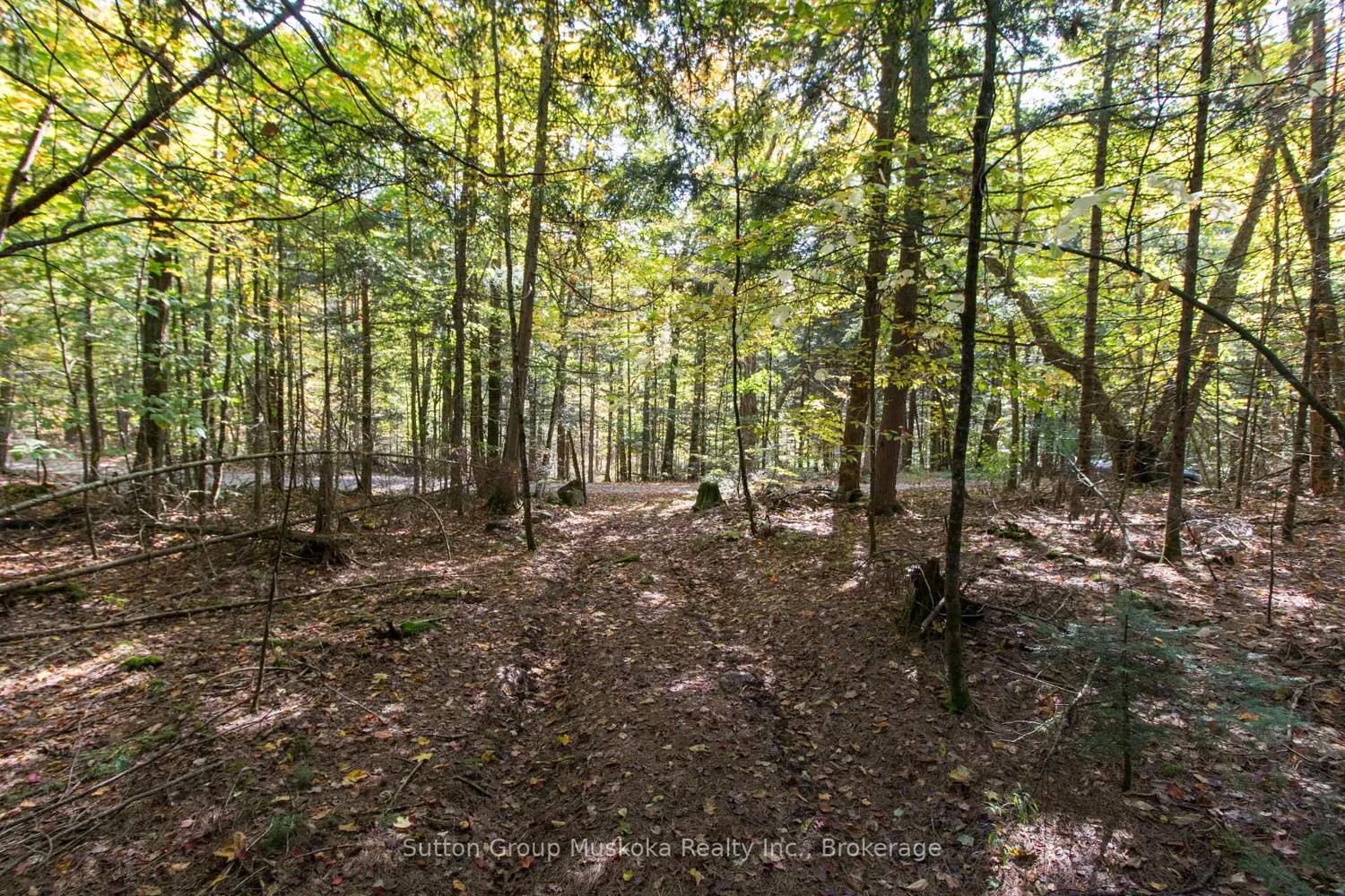 Additional image 5 of 0 Lynx Lake Road