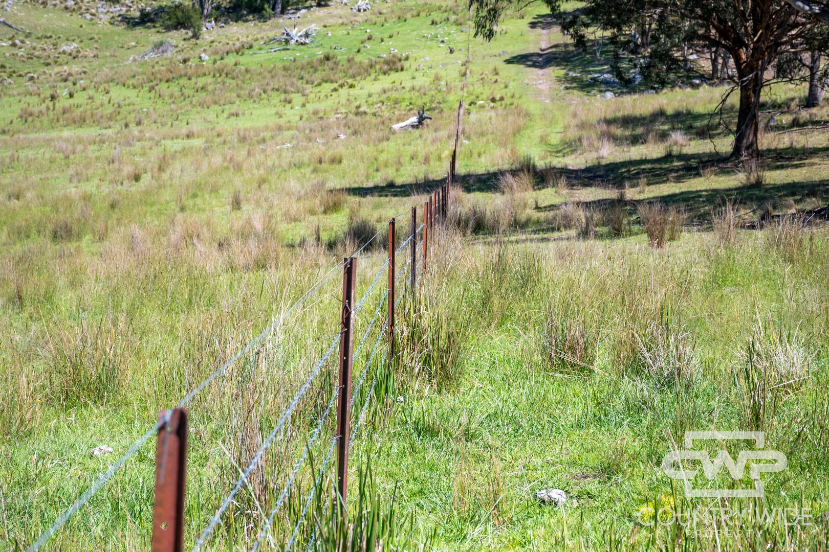 Additional image 11 of 11, - Ten Mile Rd, Deepwater NSW 2371