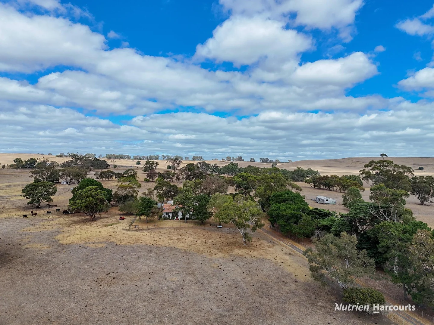 Additional image 23 of 138 Mcconachys Road, Henty VIC 3312