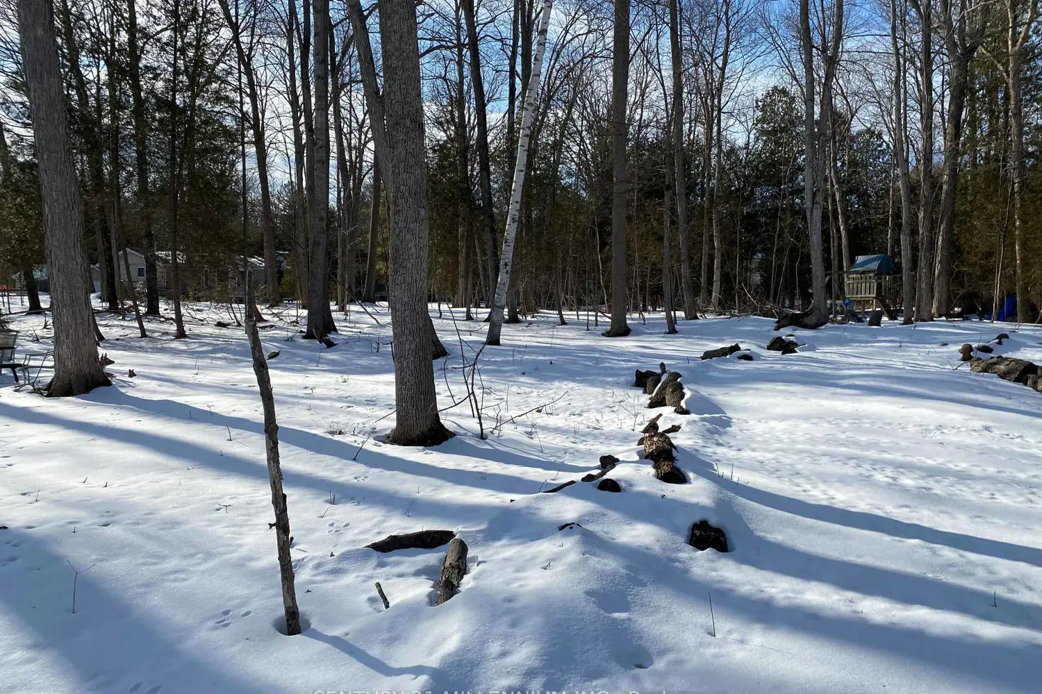 Additional image 16 of 11 Knox Road