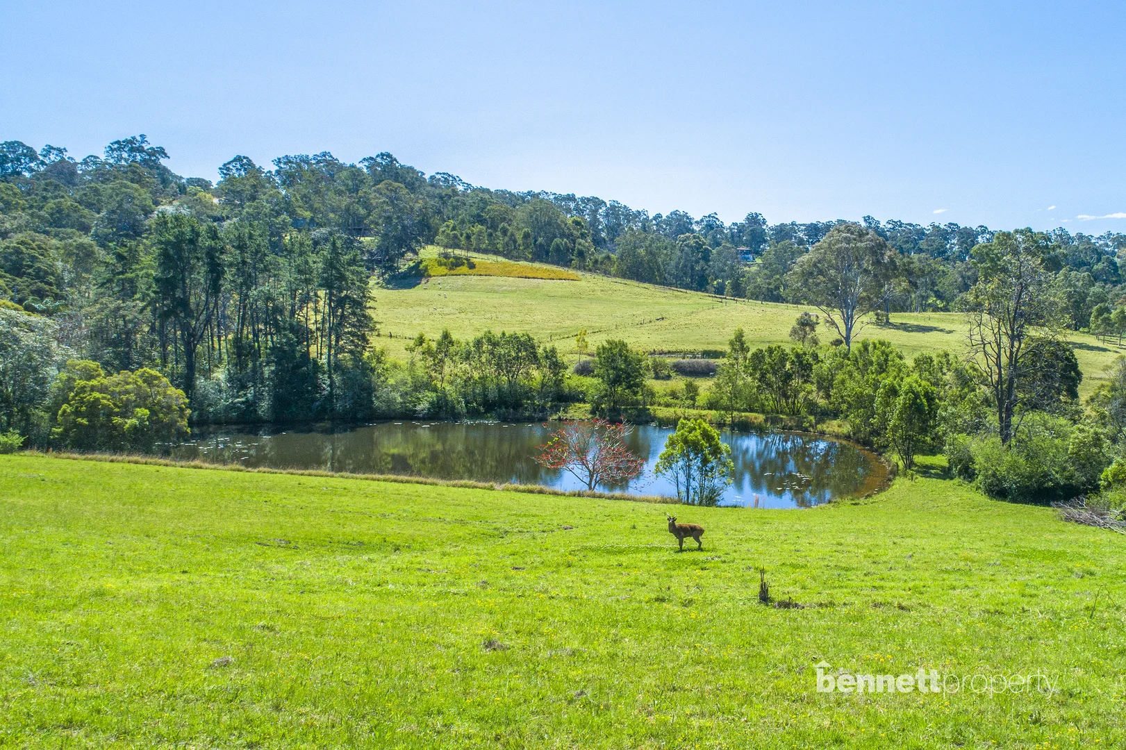 Additional image 8 of 624 Bells Line Of Road, Kurrajong NSW 2758