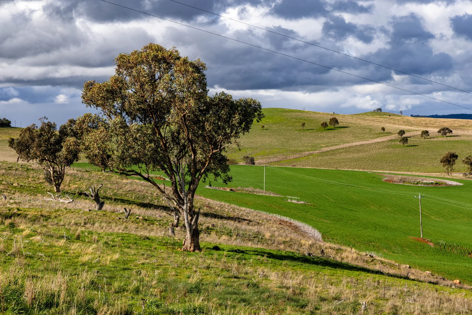 Additional image 14 of 'Darmody's', 969 Brial Rd, Boorowa NSW 2586