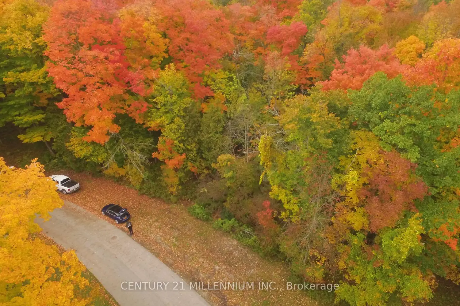 Additional image 2 of 11 Knox Road