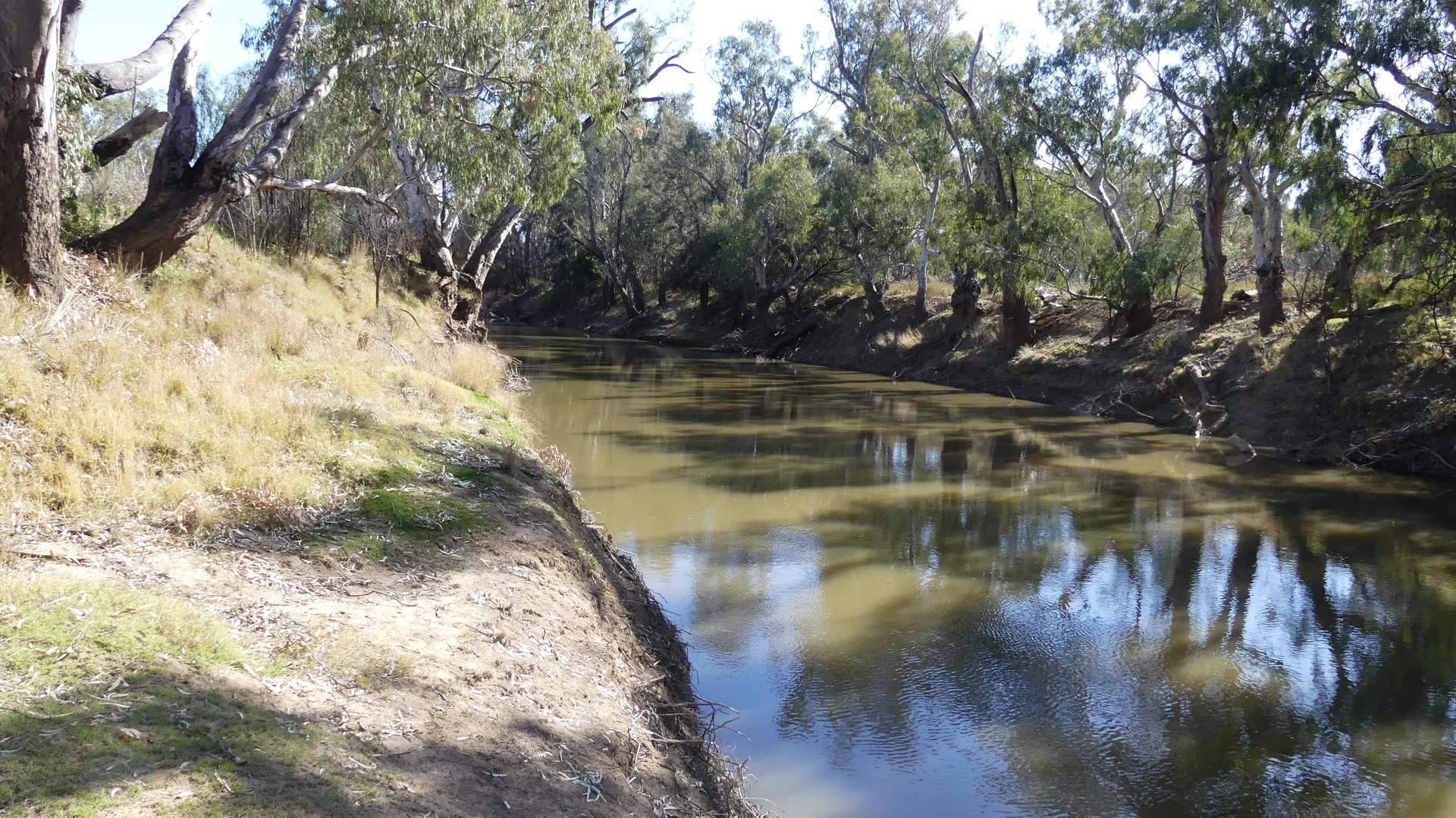 Additional image 4 of Warren NSW 2824