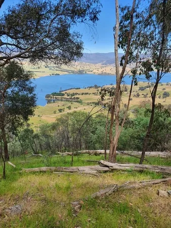 Additional image 12 of 8010 River Road, Talmalmo NSW 2640