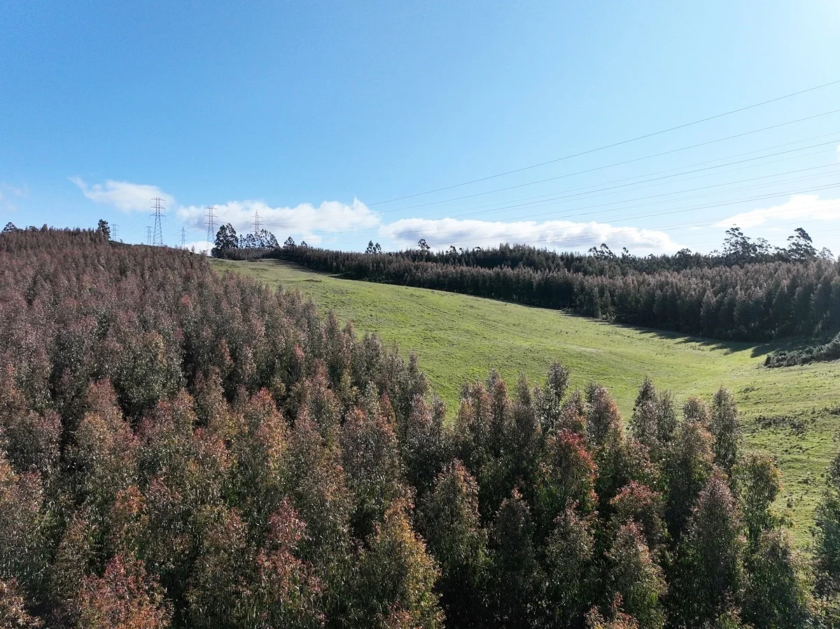 Additional image 5 of 148 Holmes Road, Roland TAS 7306