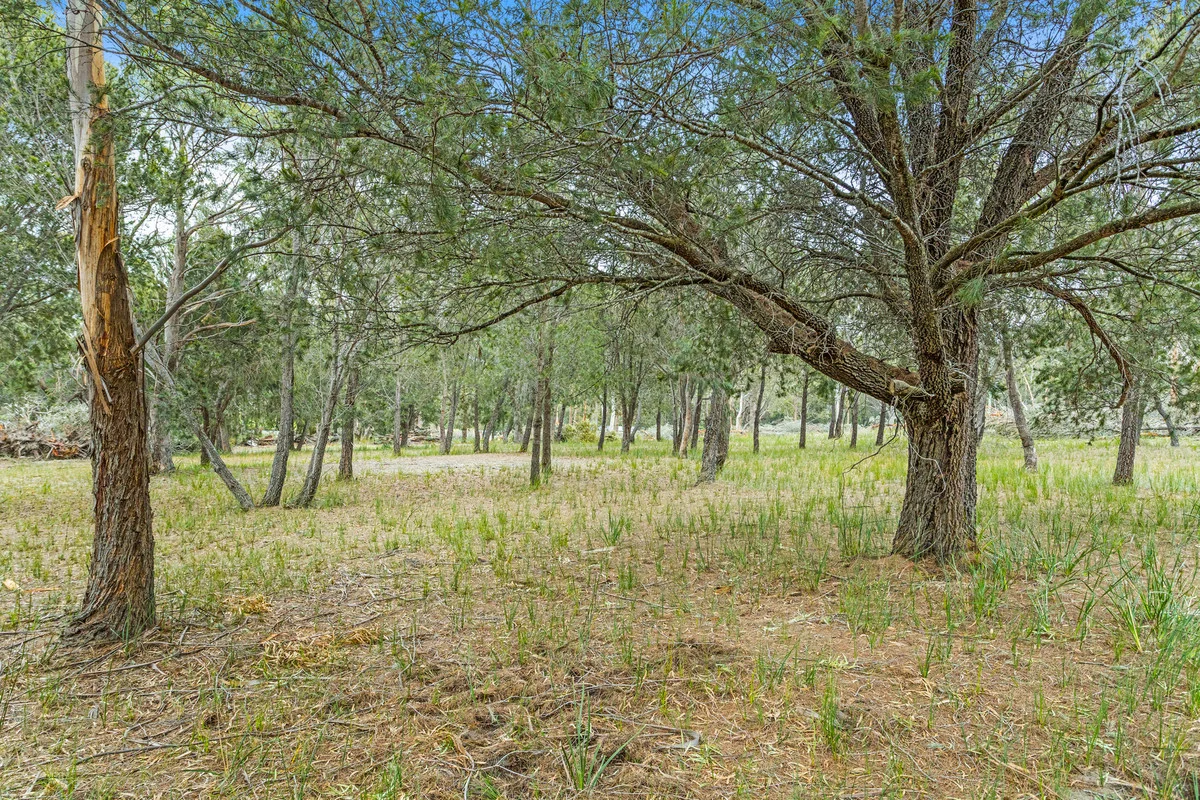 Additional image 13 of 204 Rheban Road, Orford TAS 7190