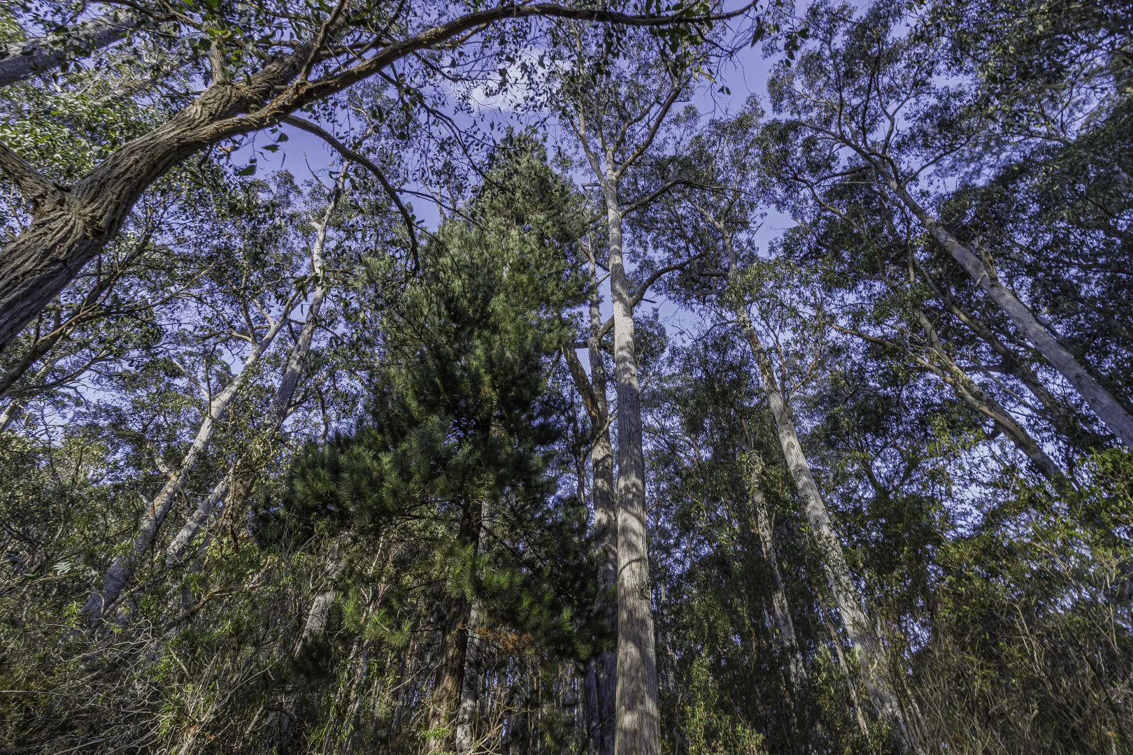 Additional image 9 of Franklin TAS 7113