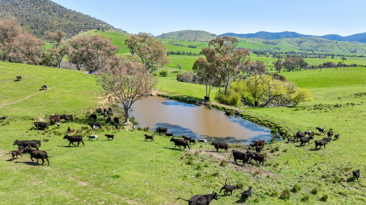 Additional image 6 of 12 Evans Road, Cudgewa VIC 3705