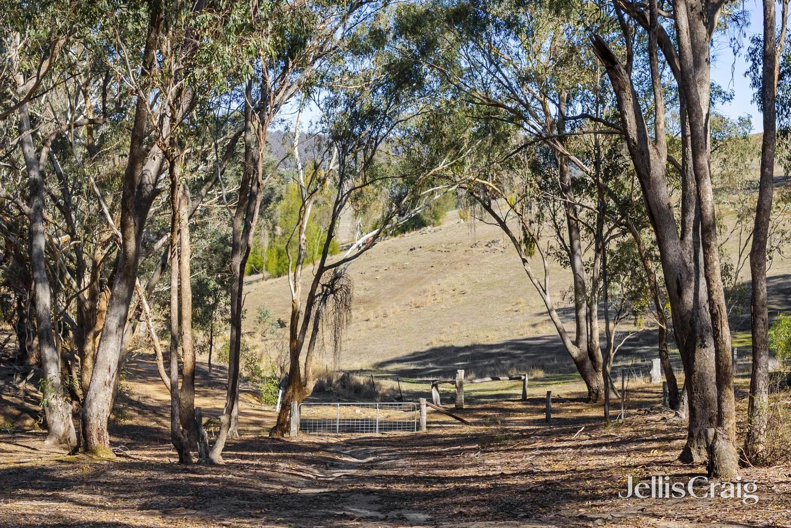 Additional image 4 of 27 Palmerston Street, Newstead VIC 3462