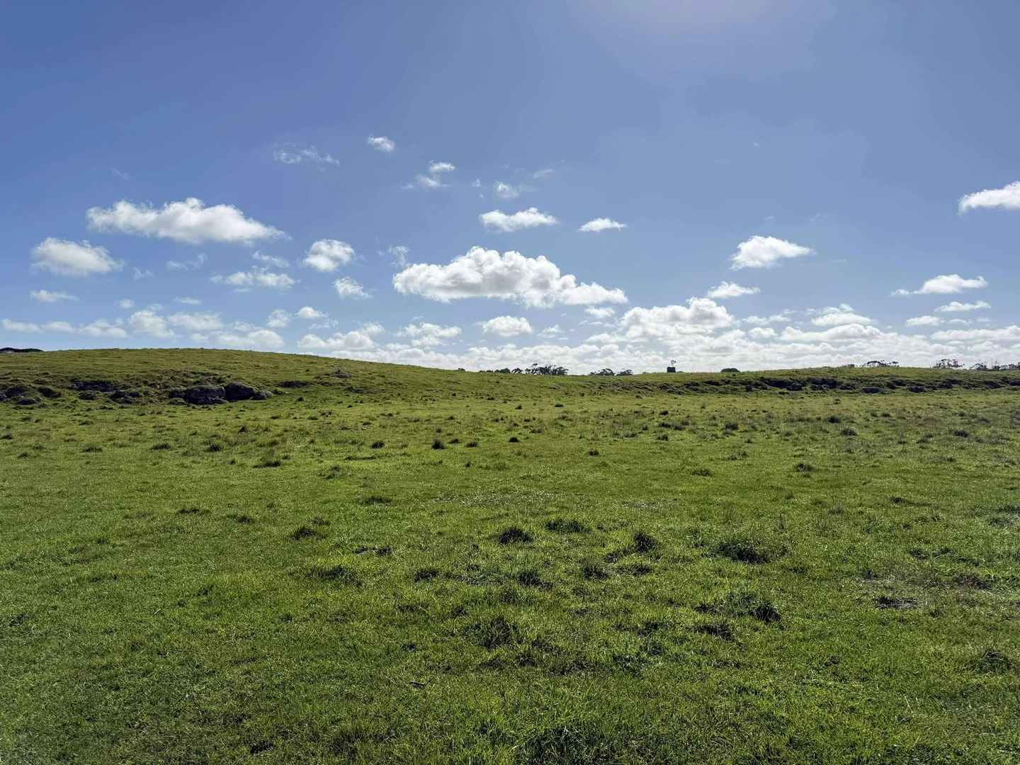 Additional image 3 of 57 Kent Drive, Millicent SA 5280