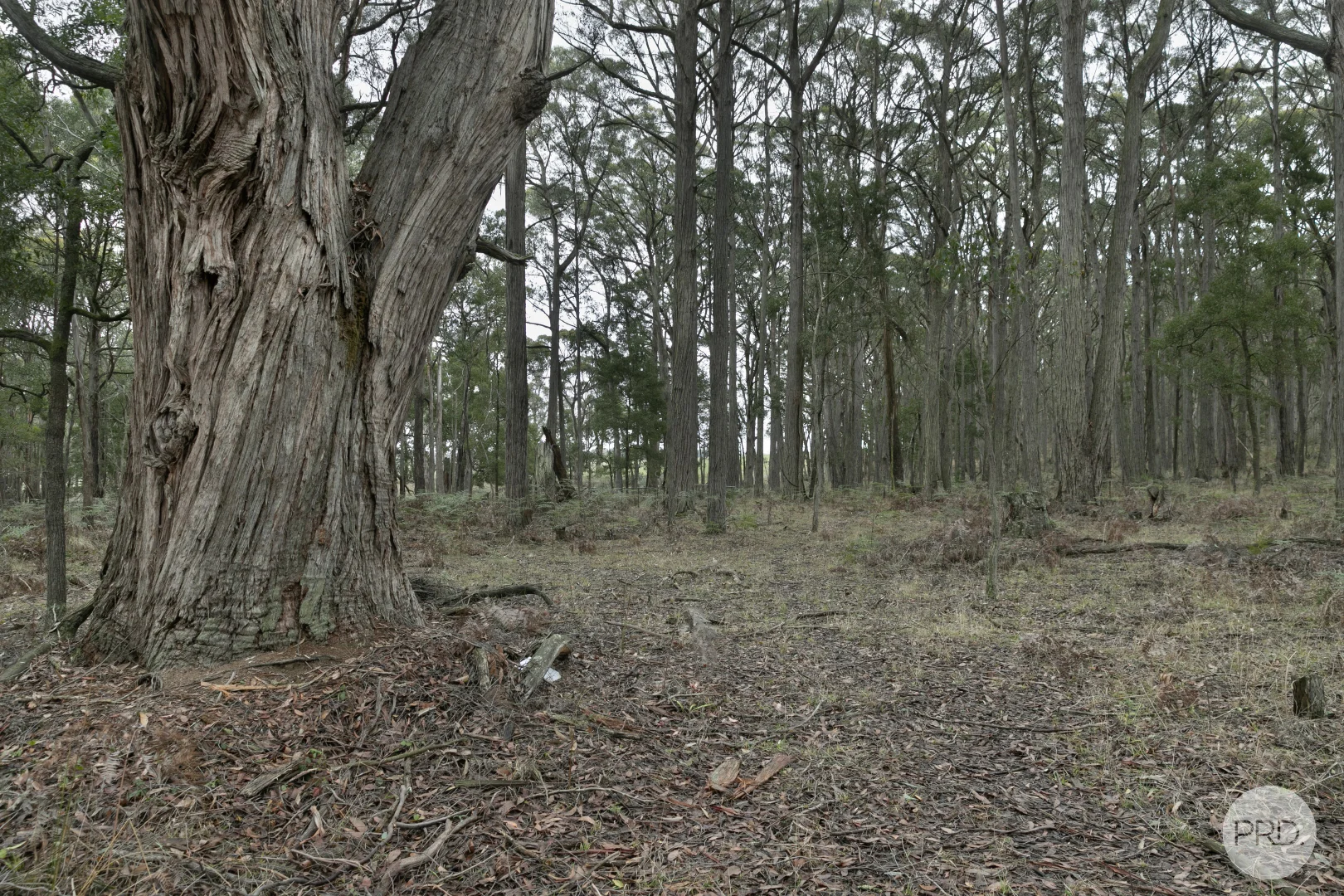 Additional image 4 of Lot 4 Haydens Hill Road, Gordon VIC 3345