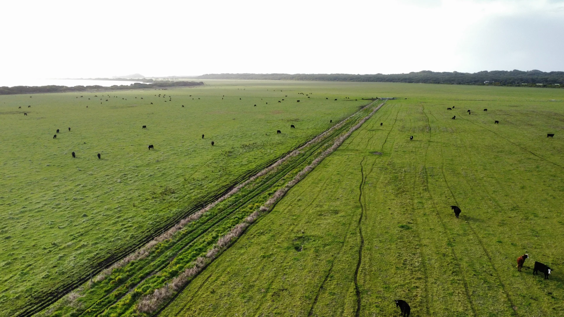 Additional image 14 of 703 Bog Lane, Nora Creina SA 5276