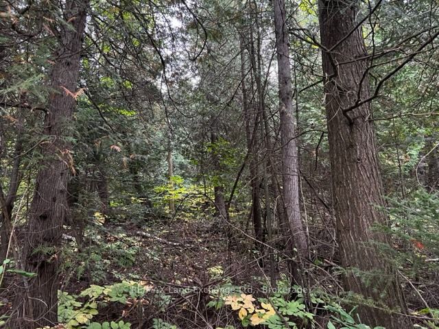 Additional image 5 of 4 Shore Road, Saugeen Shores, ON, N0H 2L0