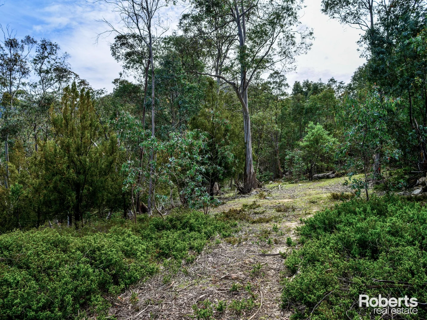 Additional image 11 of 869 Back River Road, Magra TAS 7140
