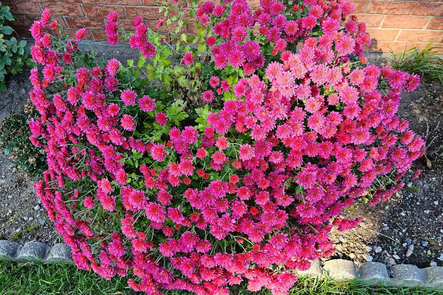 Additional image 20 of 55 Penetangore Row