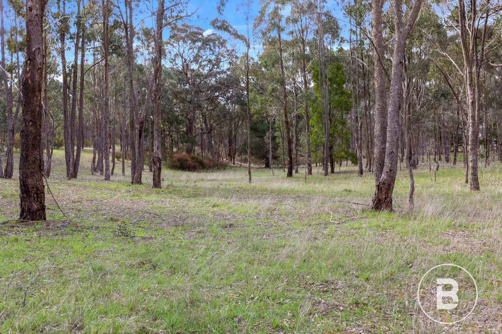 Additional image 7 of 529 Beaufort-Lexton Road, Beaufort VIC 3373