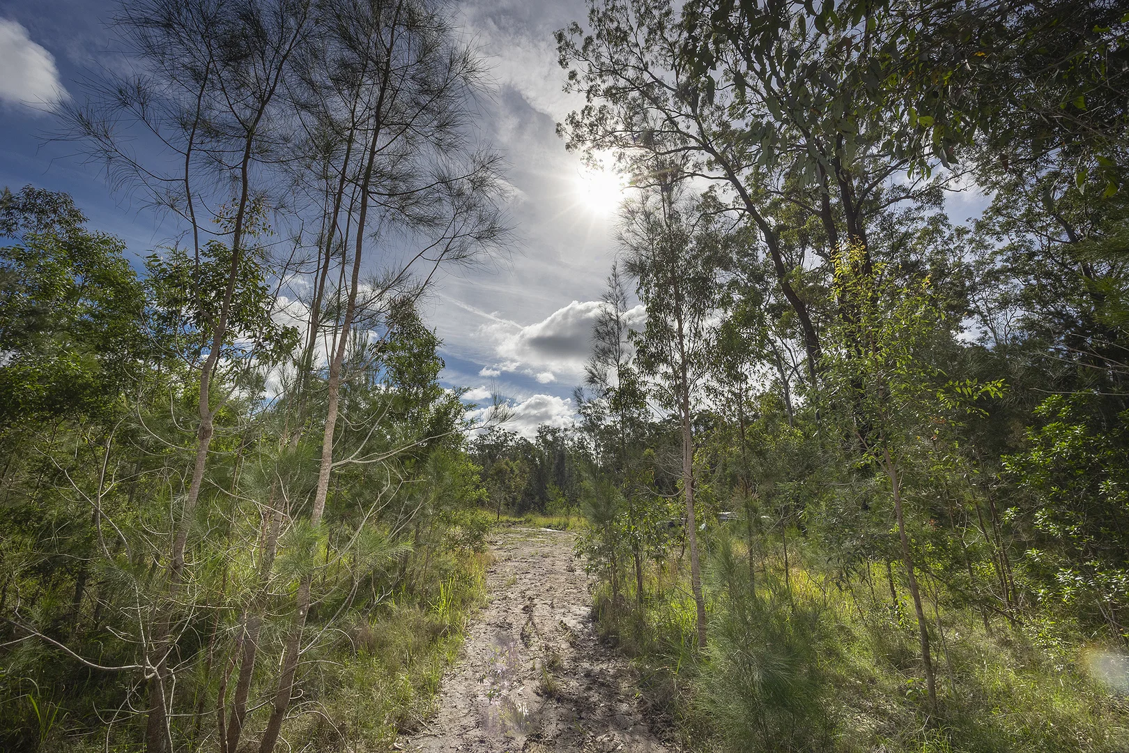 Additional image 15 of 538 Locketts Crossing Rd, Coolongolook NSW 2423