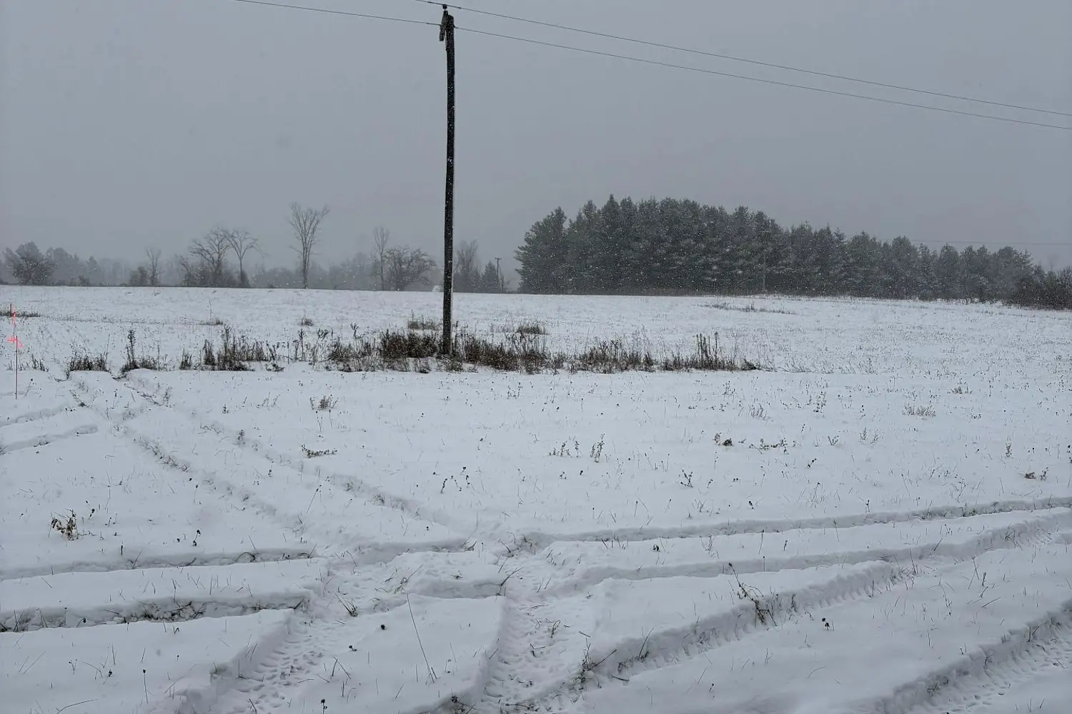 Additional image 11 of 0 Douro Third Line