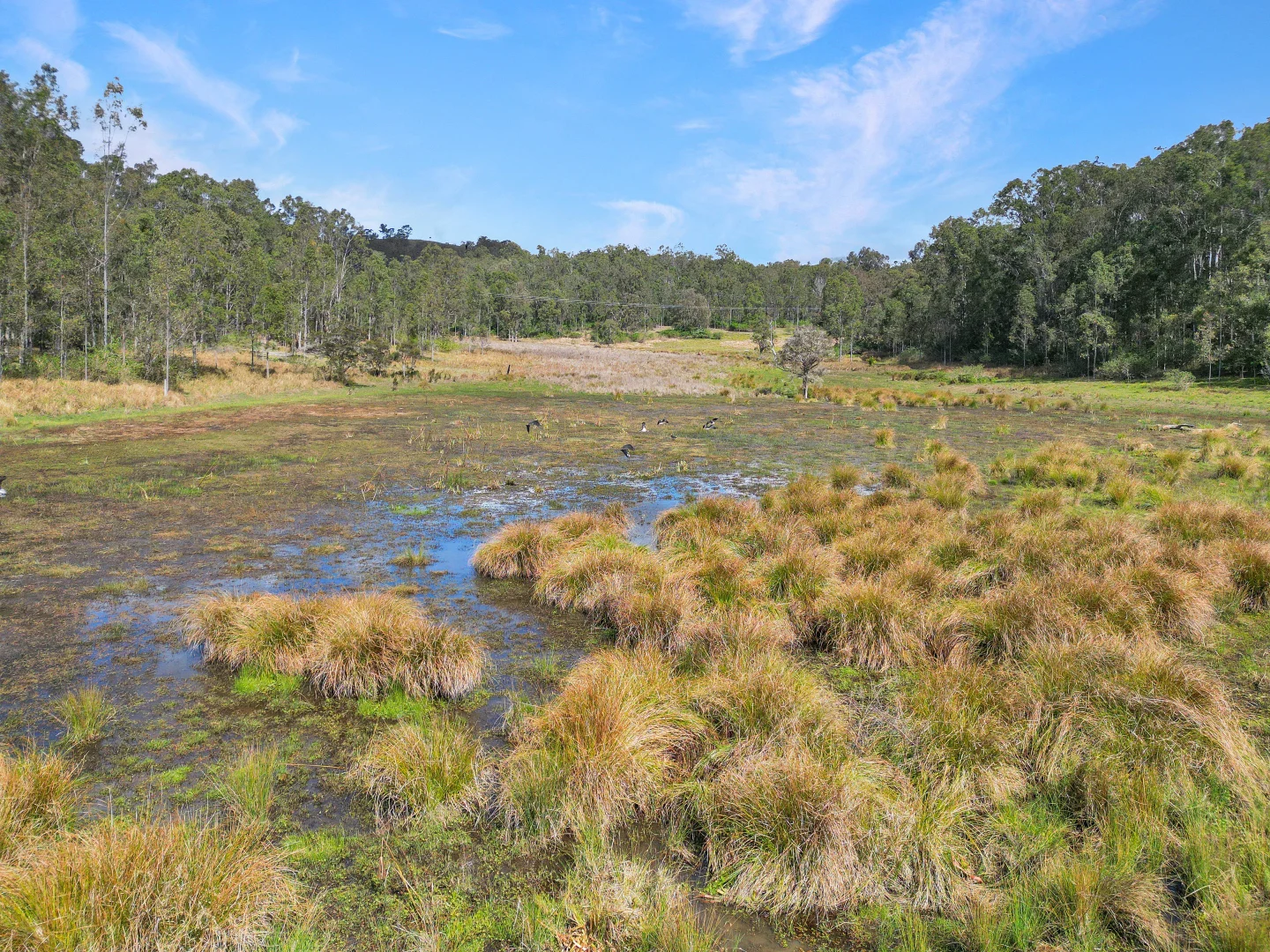 Additional image 11 of 55 Hancocks Road, Piora NSW 2470