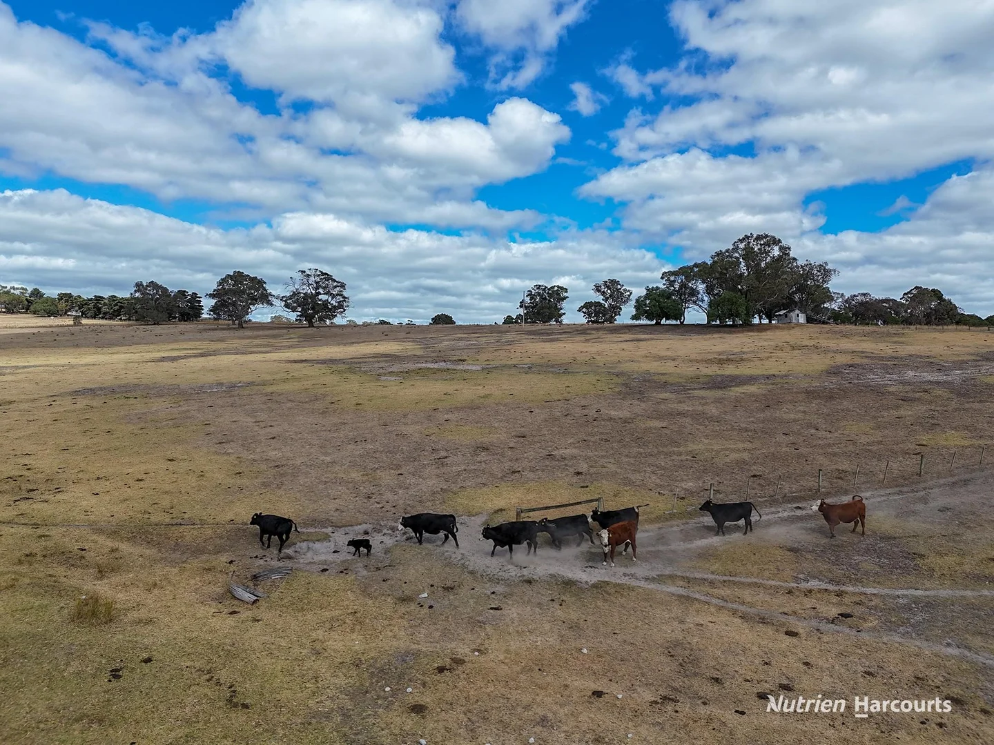 Additional image 21 of 138 Mcconachys Road, Henty VIC 3312