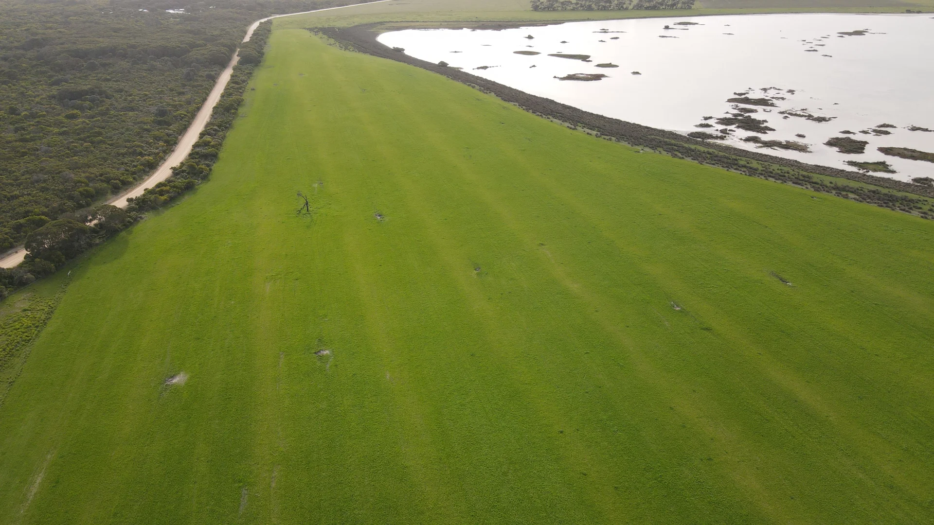 Additional image 12 of 703 Bog Lane, Nora Creina SA 5276