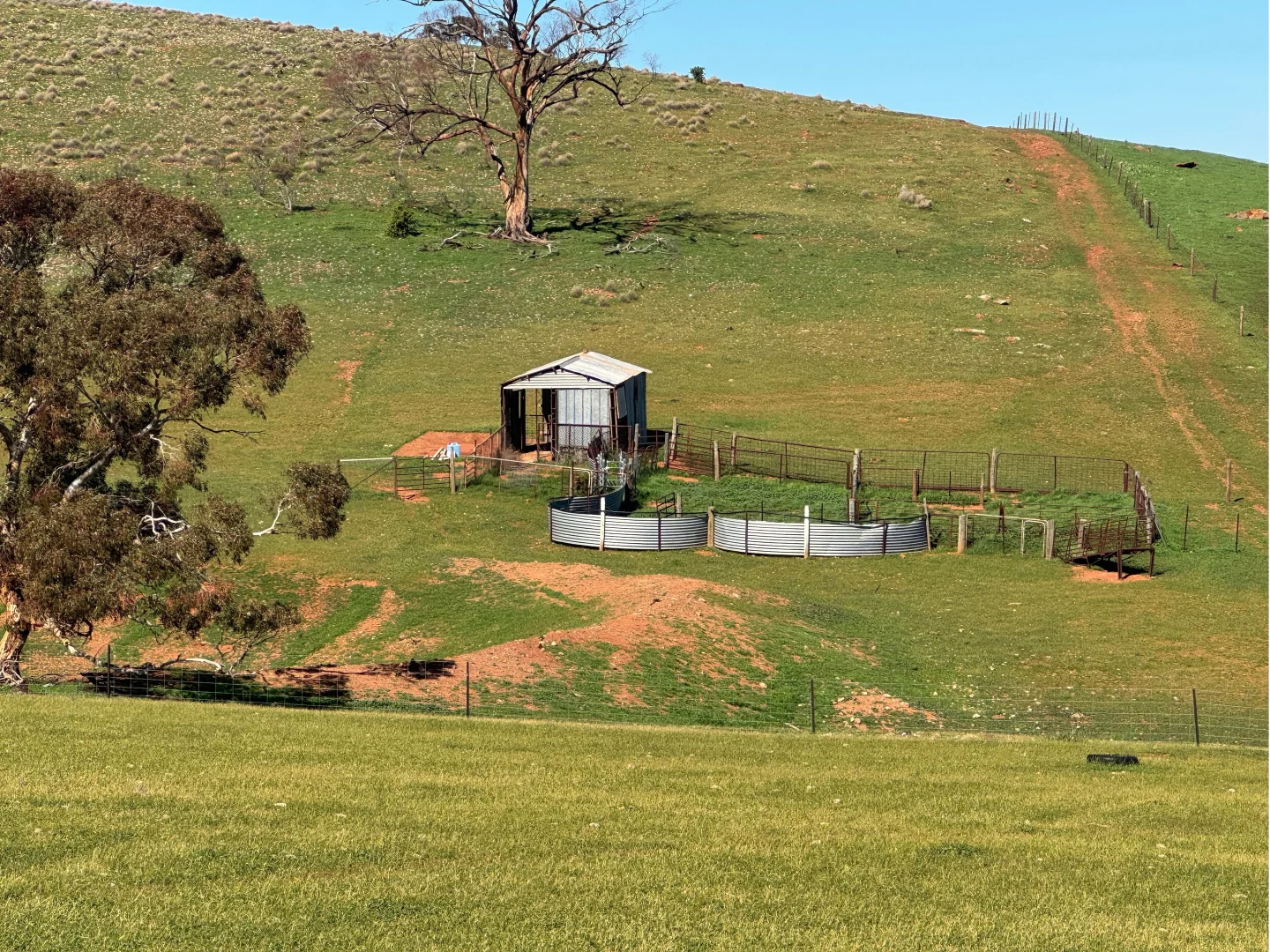 Additional image 21 of 235e Appila-Tarcowie Road, Tarcowie SA 5431