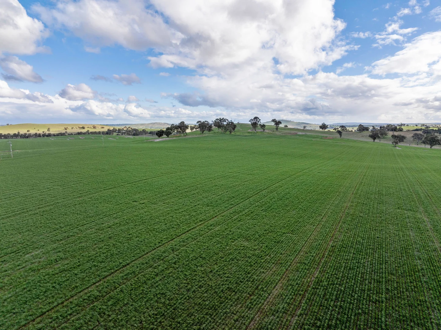 Additional image 9 of 'Darmody's', 969 Brial Rd, Boorowa NSW 2586