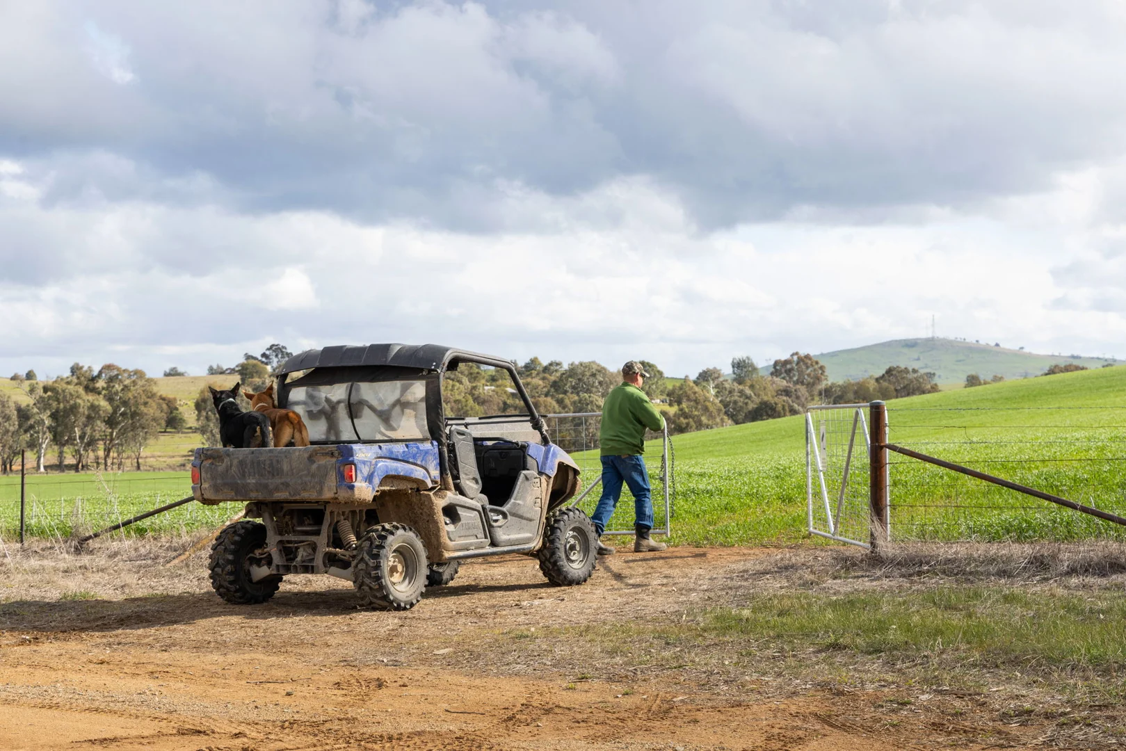 Additional image 7 of 'Darmody's', 969 Brial Rd, Boorowa NSW 2586