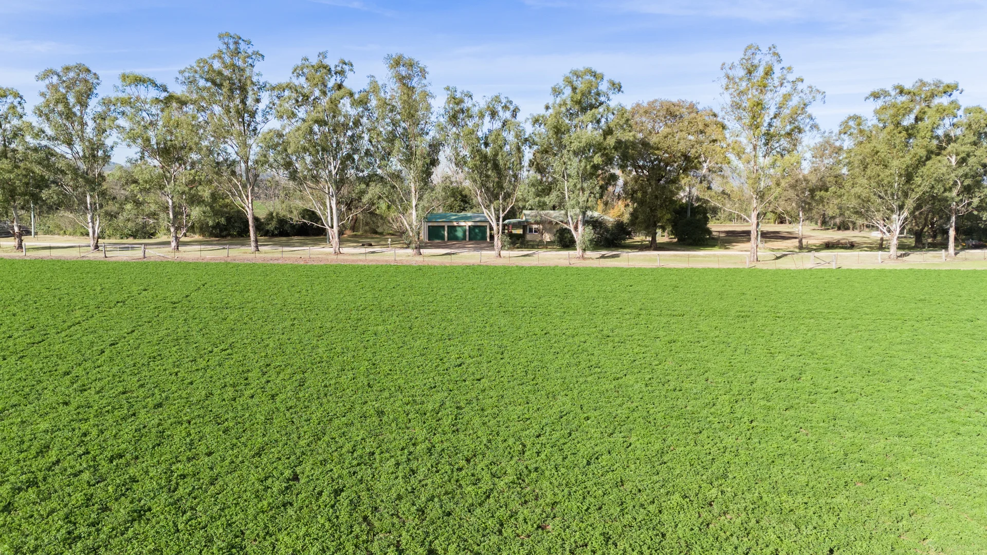 Additional image 10 of 'Billaroy' 395 Turanville Rd, Scone NSW 2337