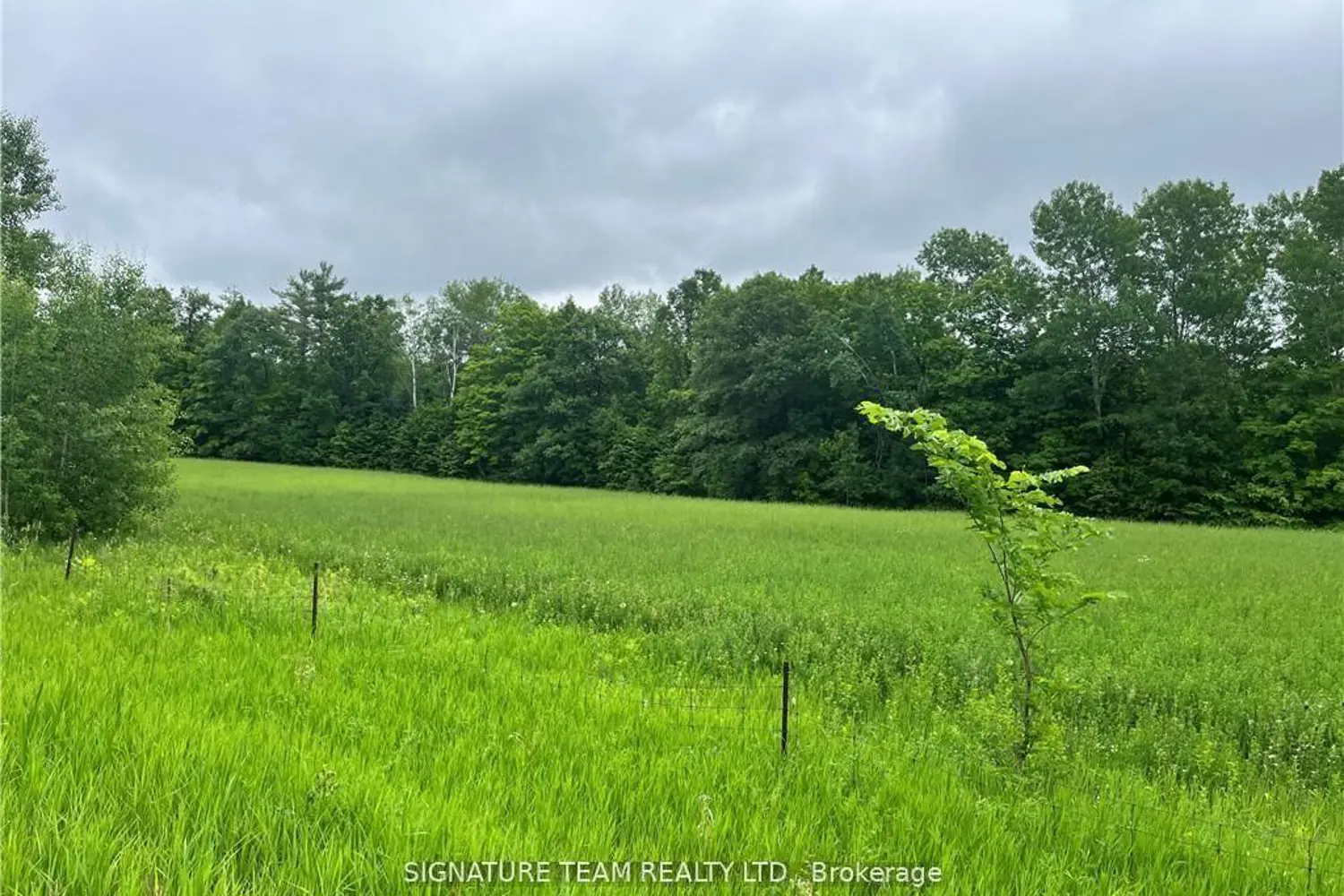 Additional image 2 of 0 Grant Settlement Road