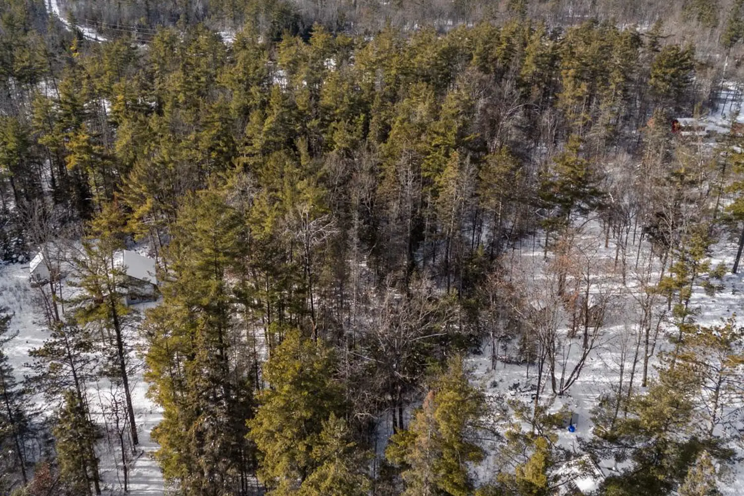 Additional image 4 of 34 Pineview Court