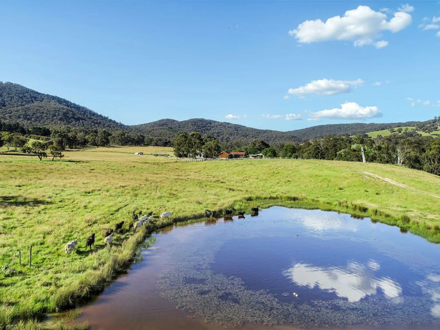 Additional image 29 of 768 North Creek Road, Ancona VIC 3715