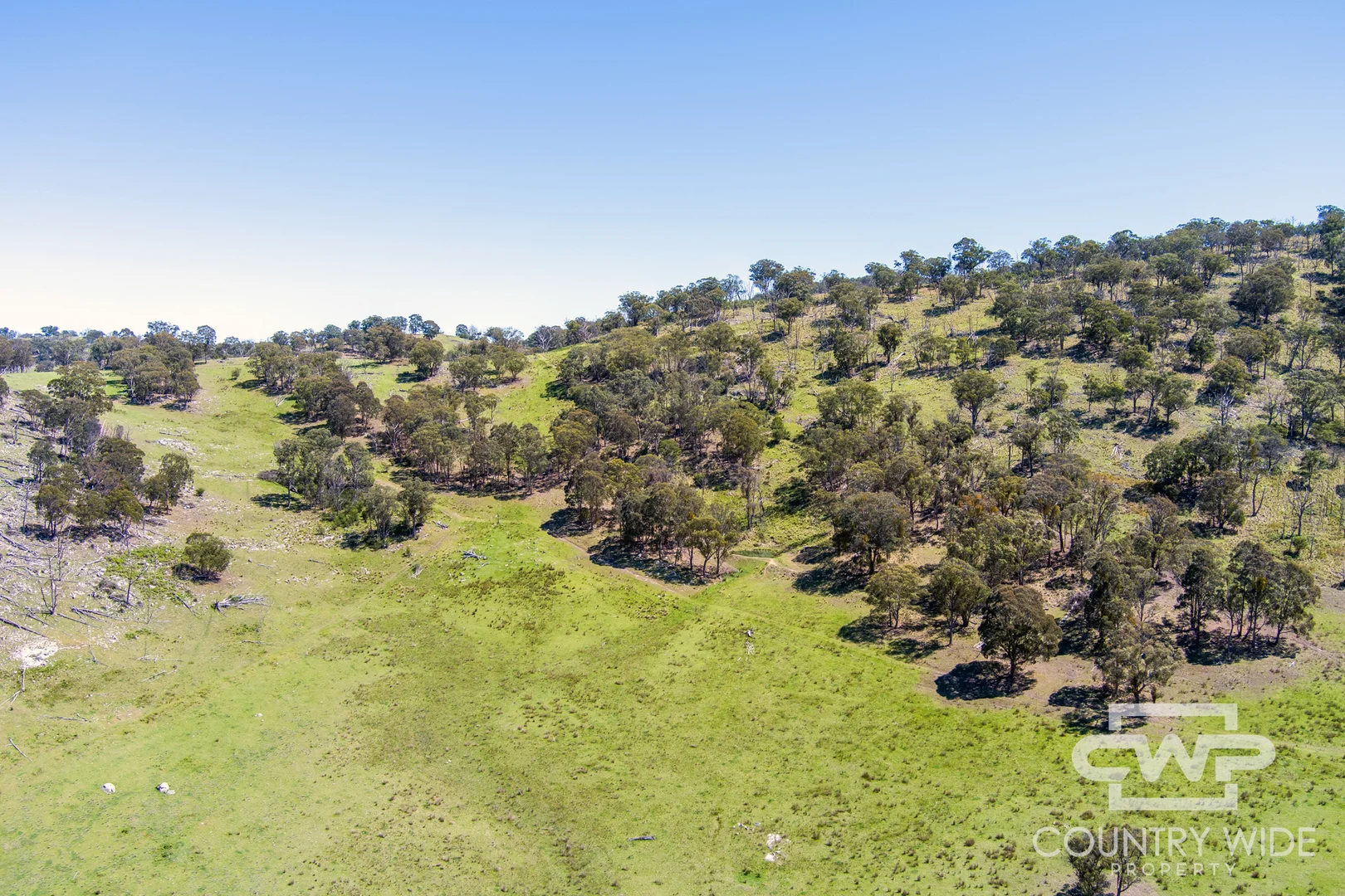 Additional image 19 of 11, - Ten Mile Rd, Deepwater NSW 2371