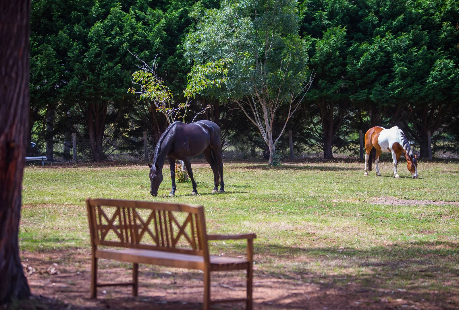 Additional image 15 of 12 Berrima Drive, Berrima NSW 2577