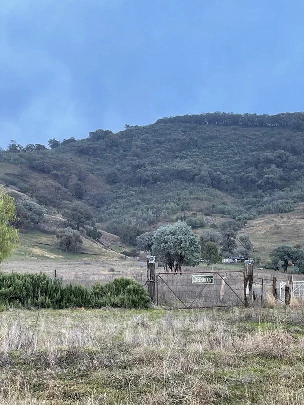 Additional image 22 of 8010 River Road, Talmalmo NSW 2640