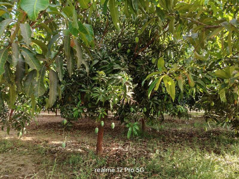 Additional image 2 of Waghodia, Vadodara