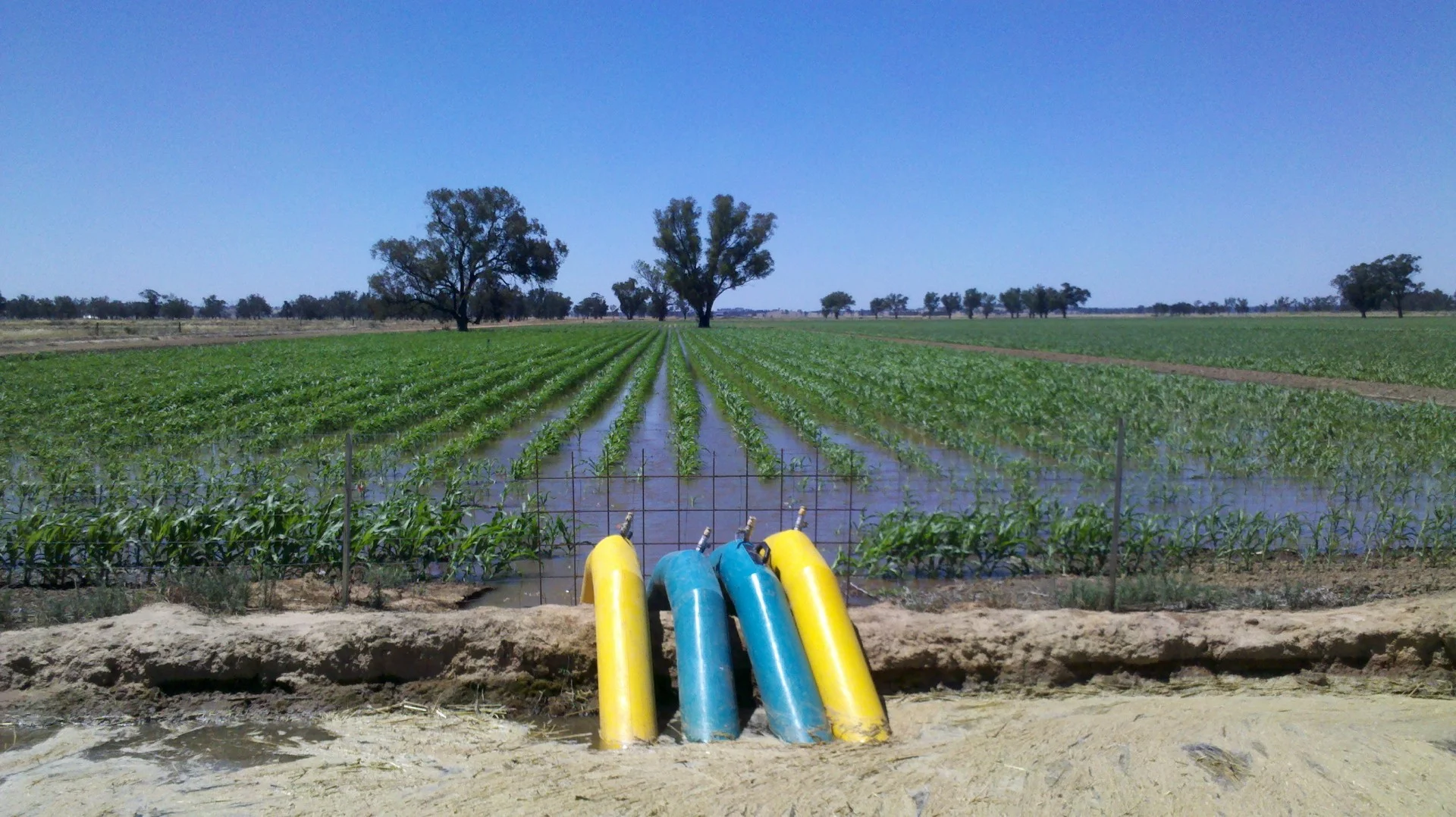 Additional image 11 of 10690 The Escort Way, Forbes NSW 2871