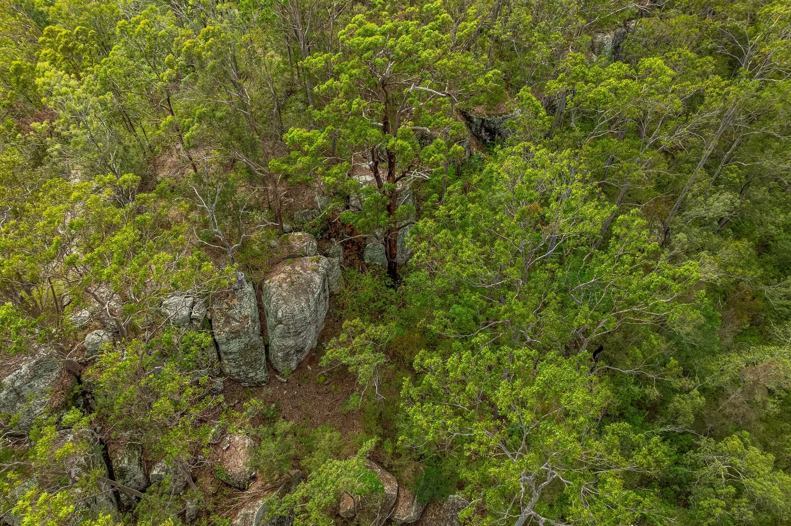 Additional image 10 of Lot 80 Tabulam Road, Tabulam NSW 2469