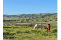 Additional image 2 of 3465 Susie Ln, Gilroy, CA, 95020