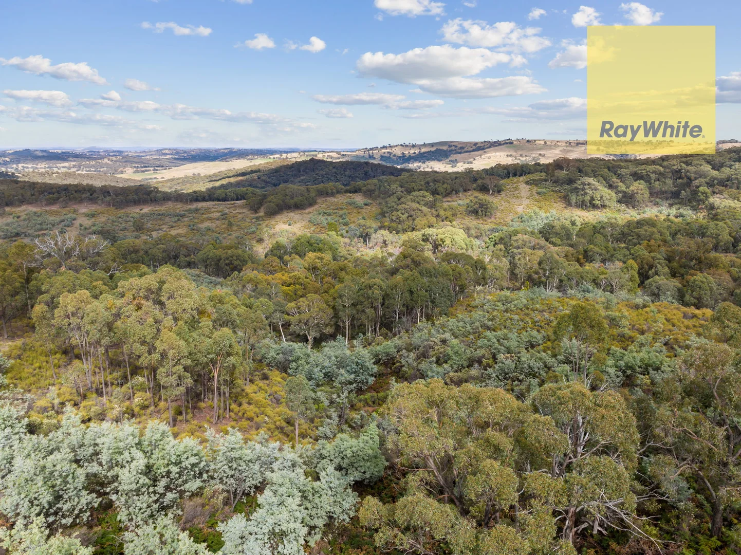 Additional image 11 of 1013 Bigga Road, Crooked Corner NSW 2583